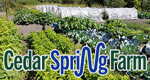Vendor Spotlight: Cedar Spring Farm of Enumclaw