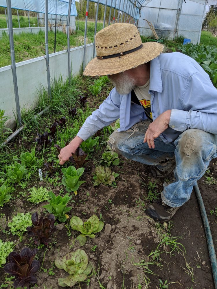Vendor Spotlight Cedar Spring Farm of Enumclaw Enumclaw Plateau