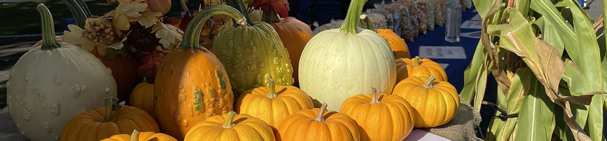 Enumclaw Plateau Farmers’ Market
